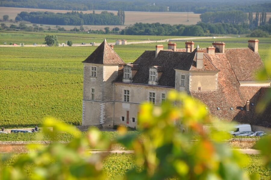 Burgundy Wines Full-Day Tasting Tour From Dijon - Tour Overview and Details