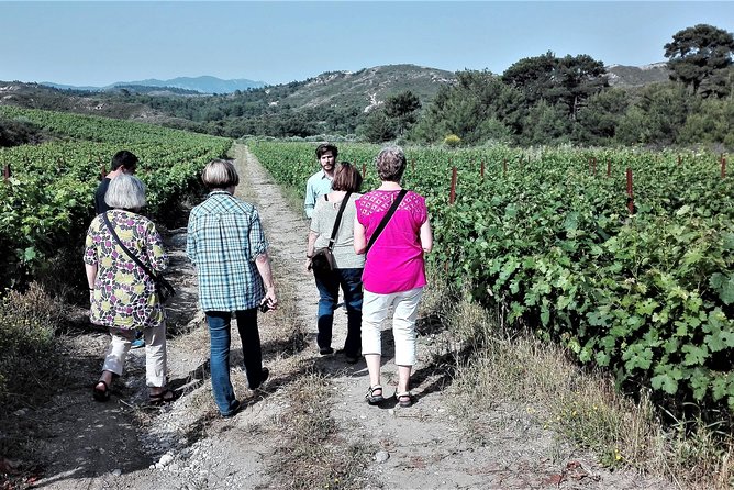Butterflies Valley & Wine Tasting Experience Private Tour