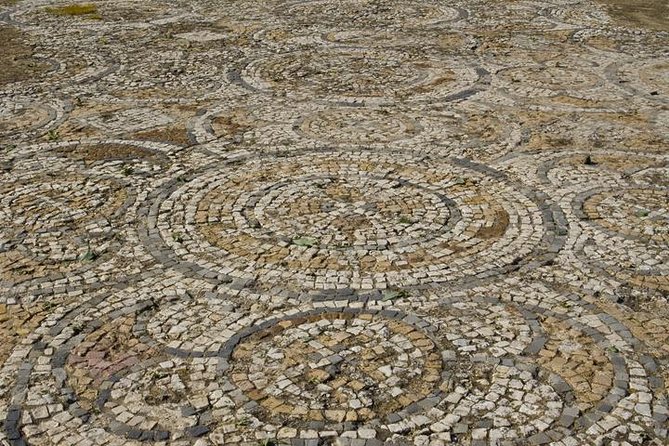 Cagliari: Nora Archaeological Site Private Experience From Chia