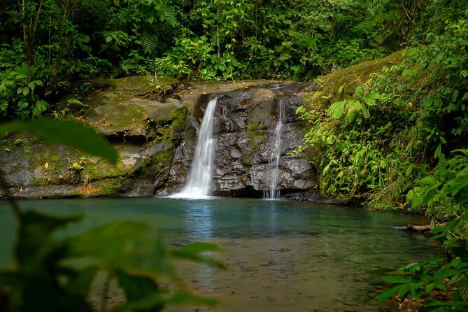 Cahuita National Park Plus Waterfalls - Tour Features