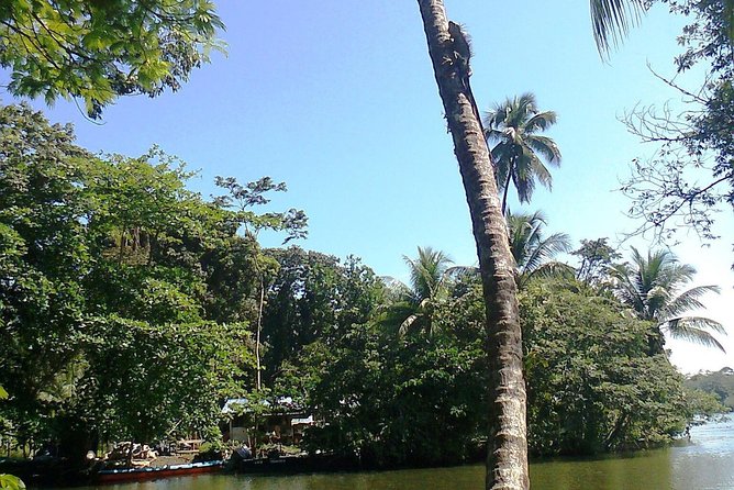 Cahuita National Park - Diverse Wildlife and Ecosystems