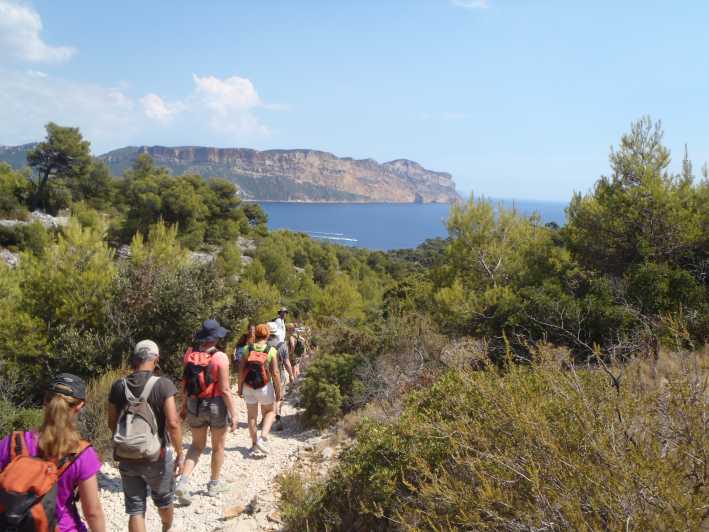 Calanques De Cassis: Hiking Day Trip - Activity Overview