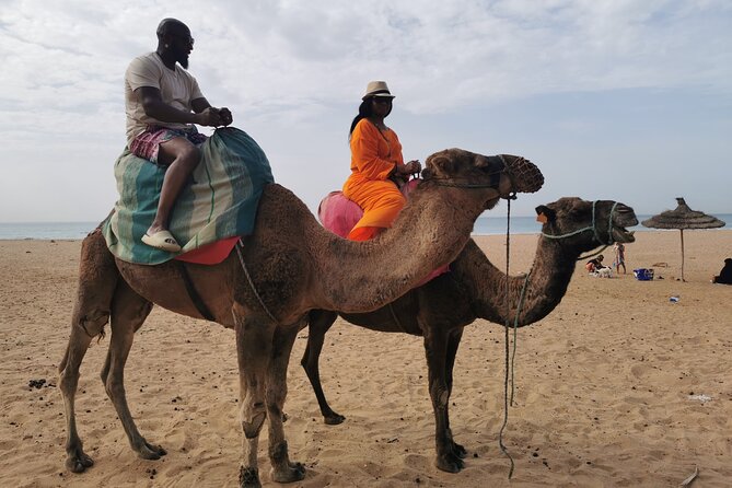 Camel Ride in Tanger - Customer Feedback and Ratings