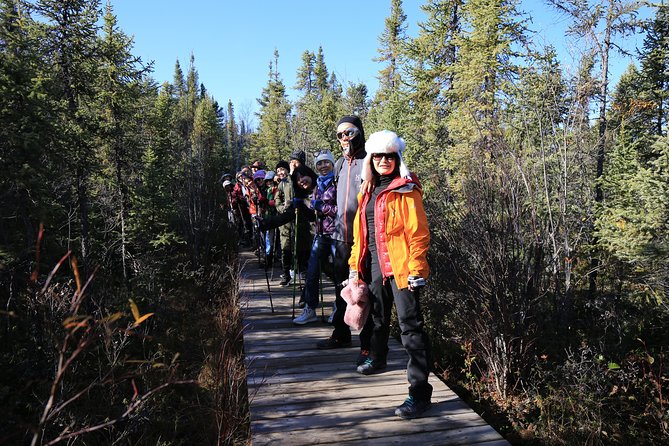 Cameron Falls Hiking Tour