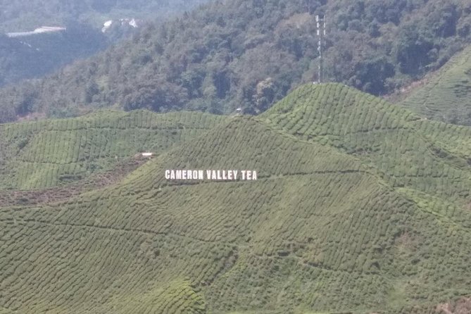 Cameron Highlands 3 Days 2 Night Tours Private (per Vehicle)