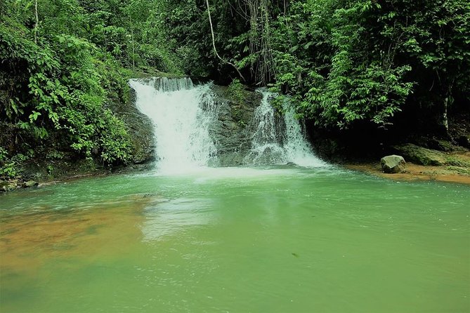 Campesinos Waterfalls and Hanging Bridges From Manuel Antonio