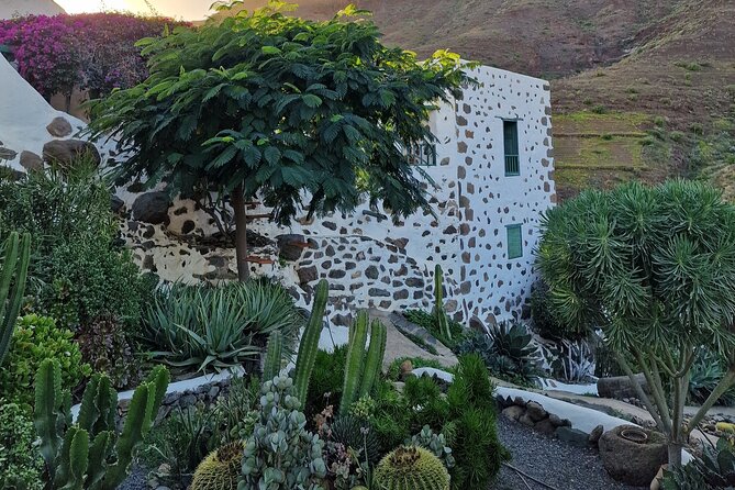Canarian Farmhouse in Mogan, Mango Farm and Vermouth Factory