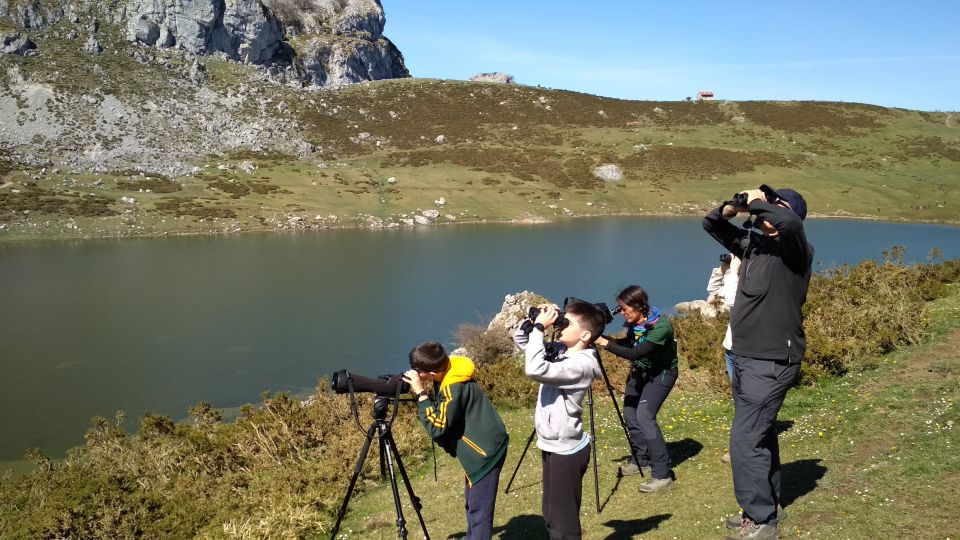 Cangas De Onís: Lakes of Covadonga Guided Tour - Tour Overview