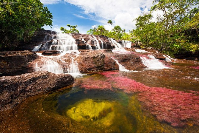 Cano Cristales & Jungle: 4 Day Trip From Bogota