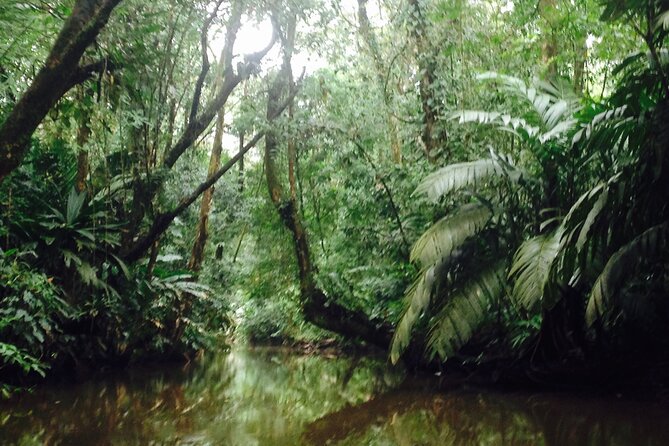 Canoe & Wildlife Spotting on Small Canals of Tortuguero Park - Equipment and Accessories