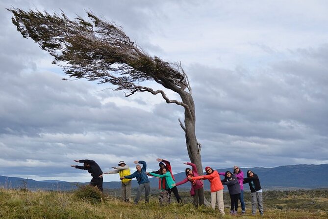 Canoeing Adventure on the Beagle Channel and Penguin Colony - Exploring Tierra Del Fuego
