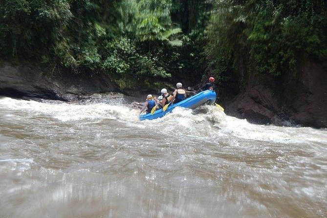 Canopy – Zipline – 2000M. Adventure Circuit – in 6 Eco Lines.