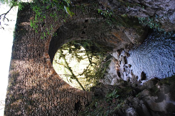 Canyoning Discovery of Versoud in Vercors – Grenoble