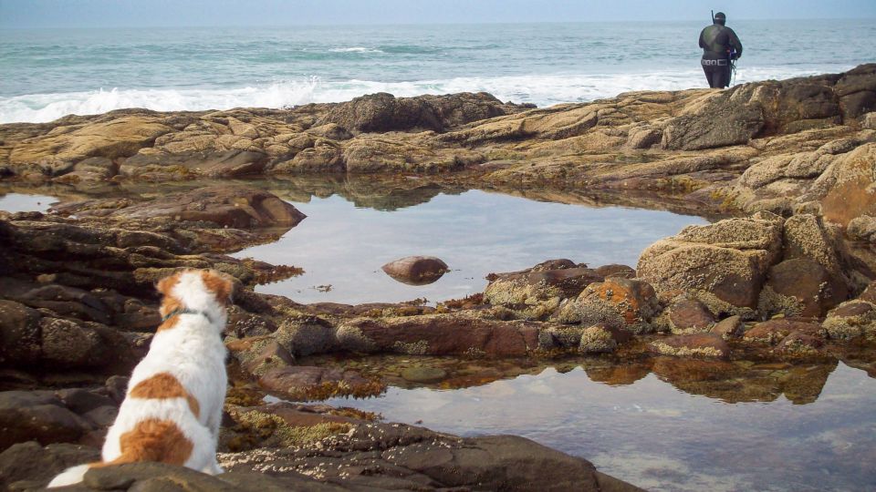 Cape Agulhas Private Tour - Tour Overview