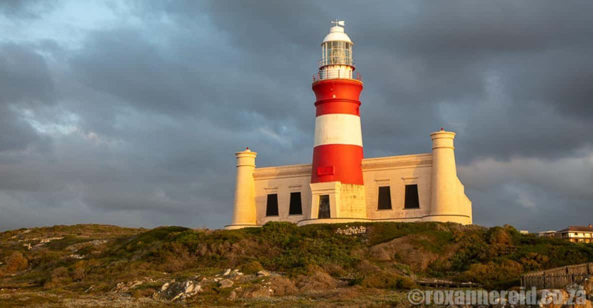 Cape Agulhas Tour: Private Day Trip! - Tour Overview and Pricing