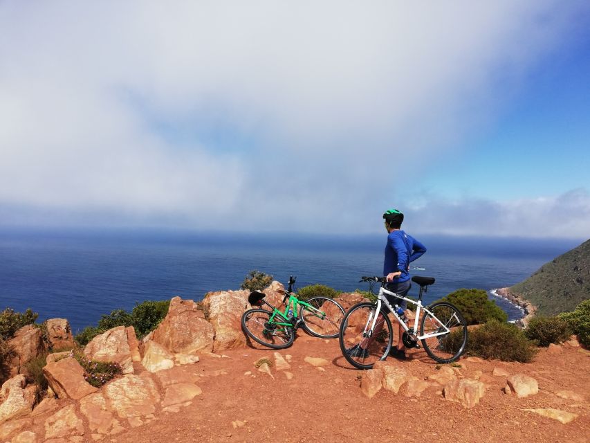 Cape Peninsula: Cycle & Drive Private Full Day Tour - Tour Overview