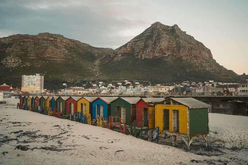 Cape Peninsula Private Tour In Cape Town South Africa