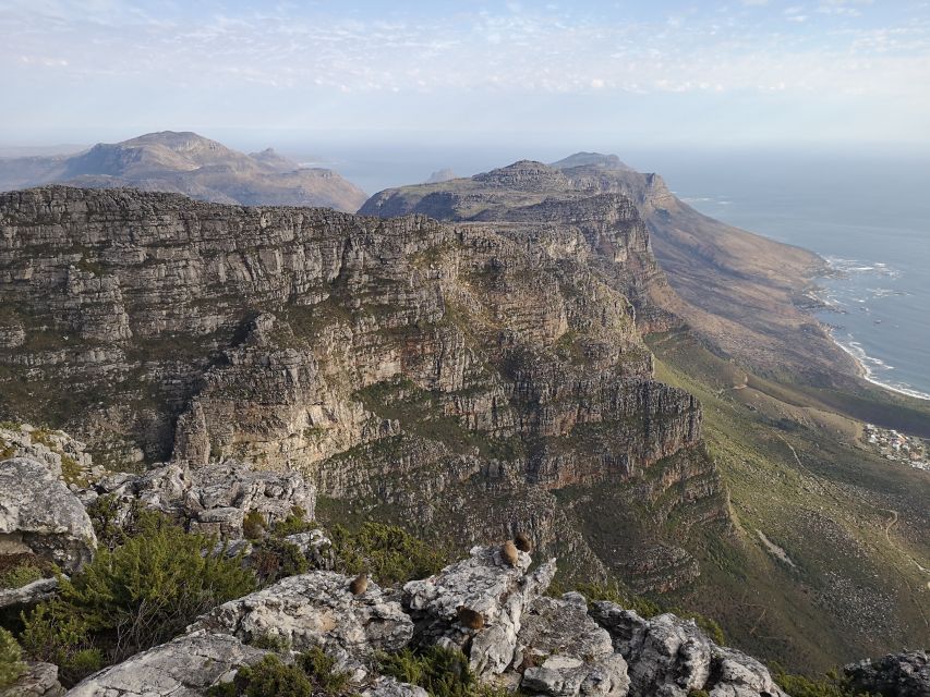 Cape Town: 3-Hour Table Mountain Hike via Platteklip Gorge