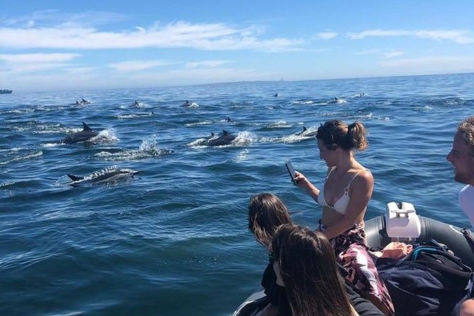 Cape Town Boat Trip