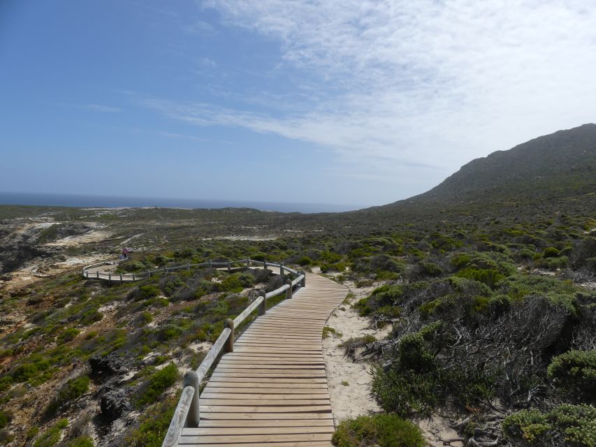 Cape Town: Cape Point and Penguin Colony Full Day Tour - Tour Overview and Pricing