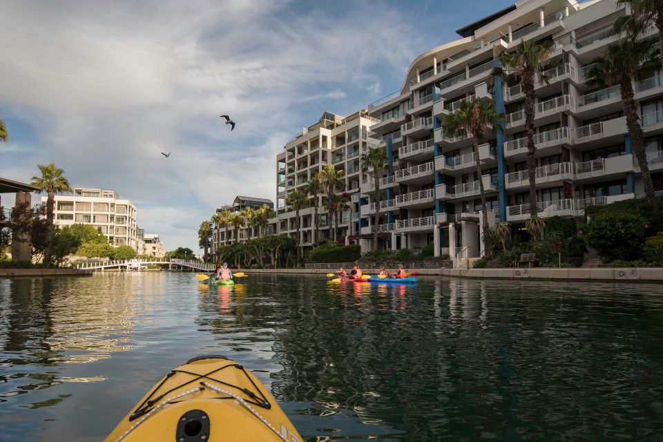 Cape Town: Day or Night Guided Kayak Tour in Battery Park - Explore the V&A Waterfront Canals