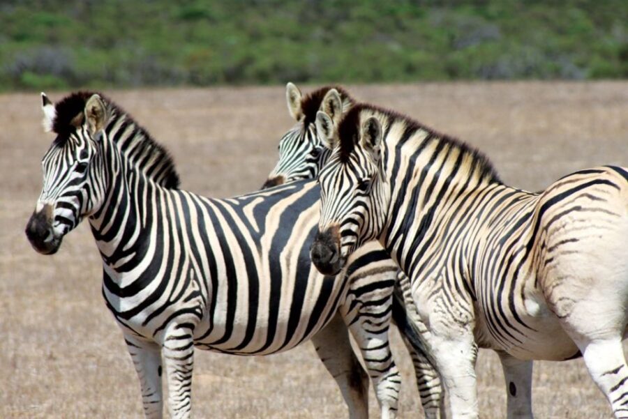 2 Best Bike Tours In West Coast National Park