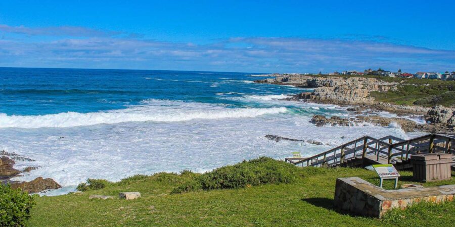 10 Best Whale Watching Tours In Hermanus