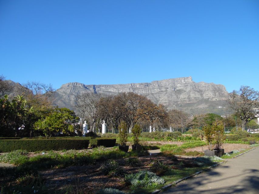 Cape Town: Spectacular Table Mountain & Kirstenbosch Gardens - Inclusions