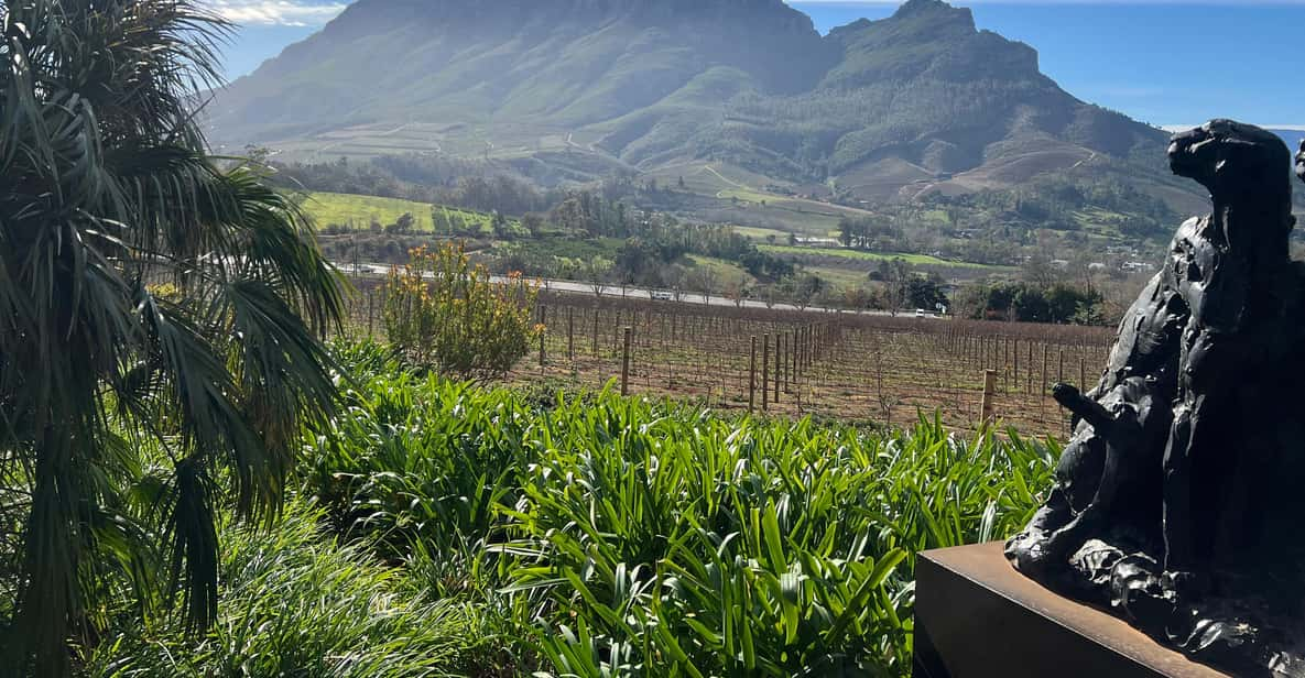 Cape Town: Stellenbosch & Franschhoek Private Wine Tour - Overview and Pricing