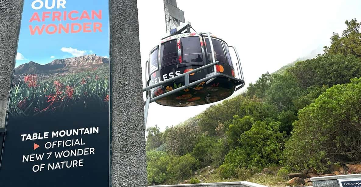 Cape Town: Table Mountain Boulders Beach and Cape Point - Exploring Table Mountains Aerial Cableway