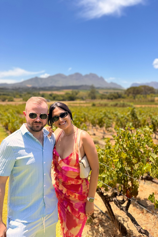 Cape Town: Table Mountain Cableway & Spier Wine Tasting Tour - Tour Overview