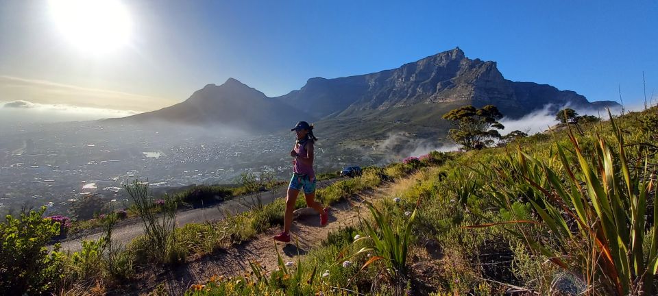 Cape Town: Trail Run Lions Head and Signal Hill Morning - Experience Highlights