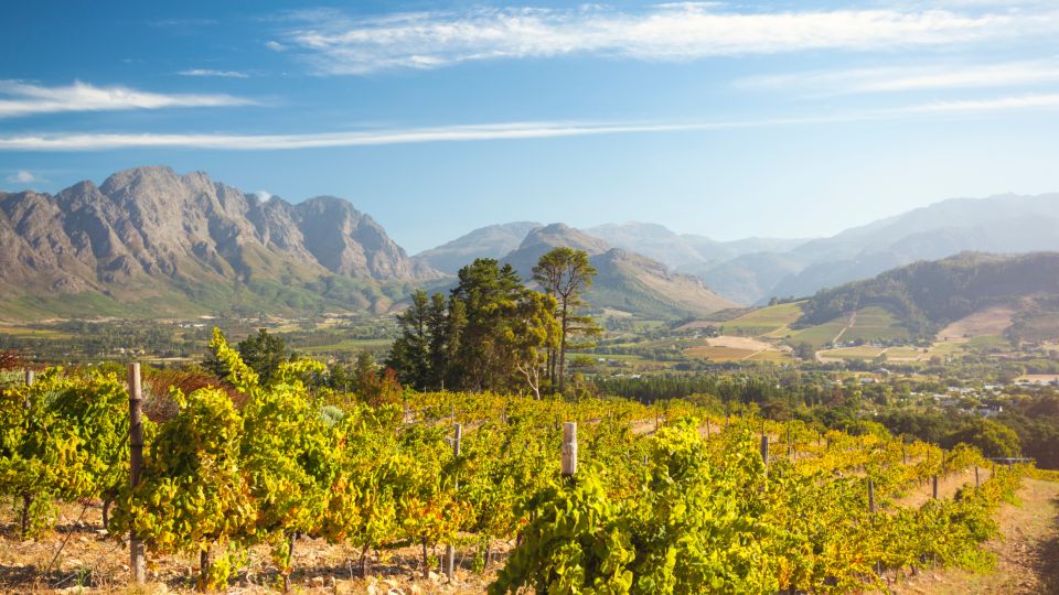 Cape Town Wine Tour (Paarl, Stellenbosch & Franschhoek) - Tour Overview