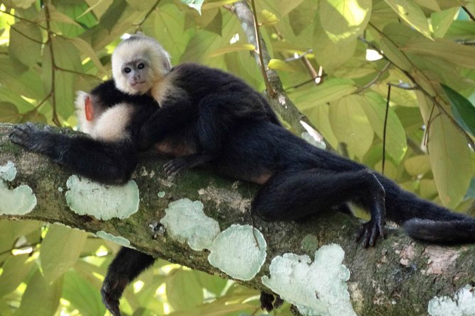 Carara National Park