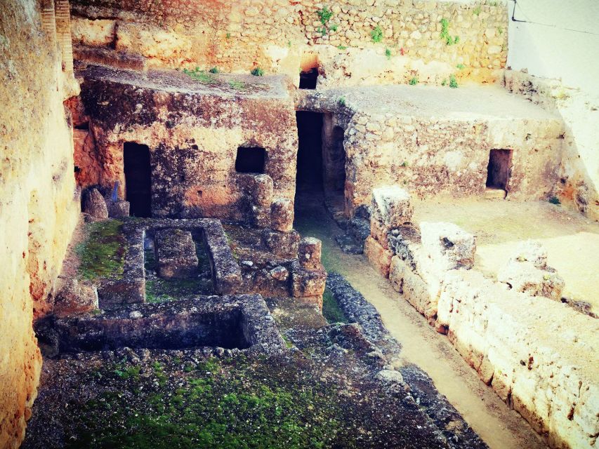 Carmona: City Walking Tour - Tour Overview and Pricing