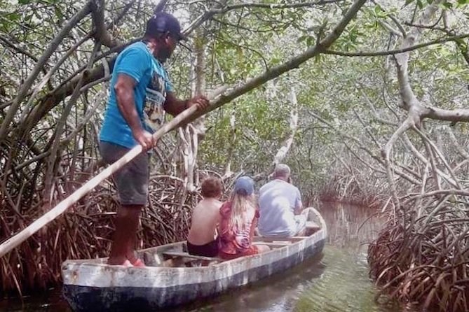 Cartagena Mangrove Tour