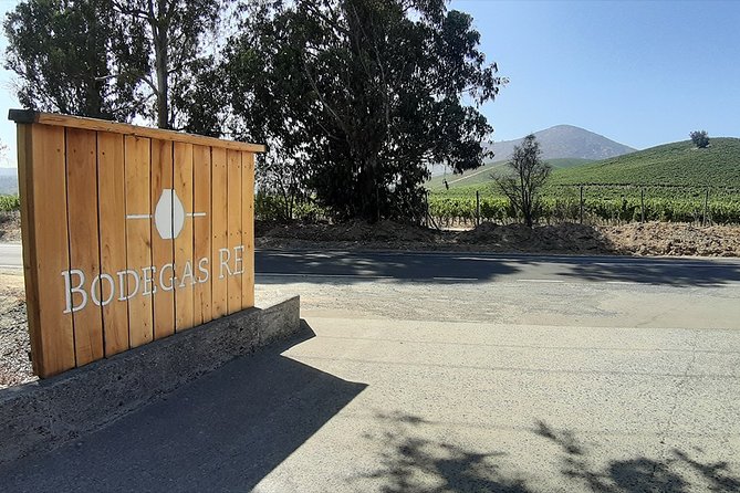 Casablanca Wine Innovation Tour: Bodegas RE and Casas Del Bosque