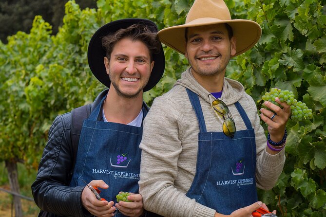 Casablanca Wine Valley LGBT+ - LGBT+ Friendly Wine Tour