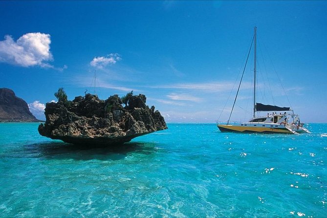 2 Best Dolphin Watching Tours in Trou Deau Douce