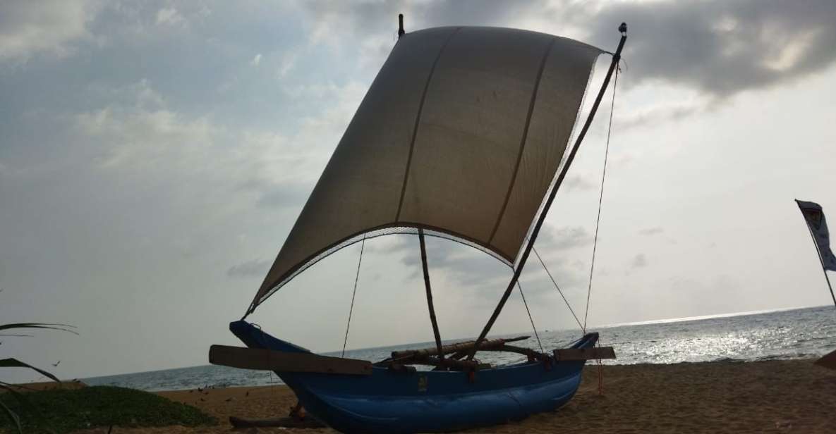 Catamaran Sunset Sailing in Mount Lavinia - Activity Overview