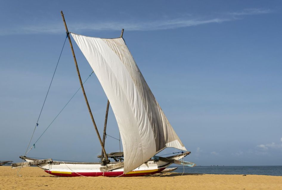 Catamaran Sunset Sailing in Trincomalee - Activity Overview