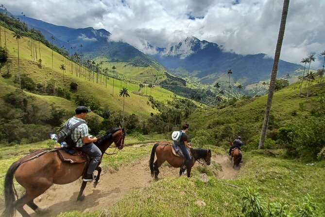 Cavalcade Valley of Cocora Condor Viewpoint