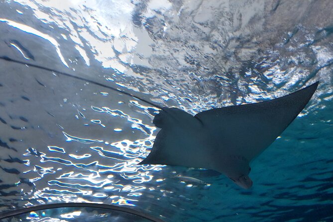 Cebu Ocean Park