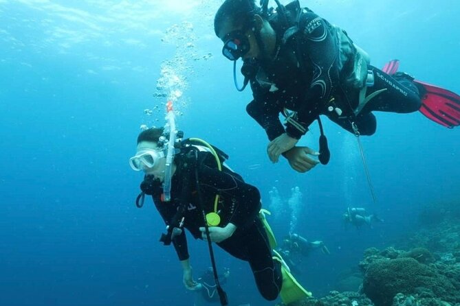 Cebu: Scuba Diving Experience Beach Entry in Mactan