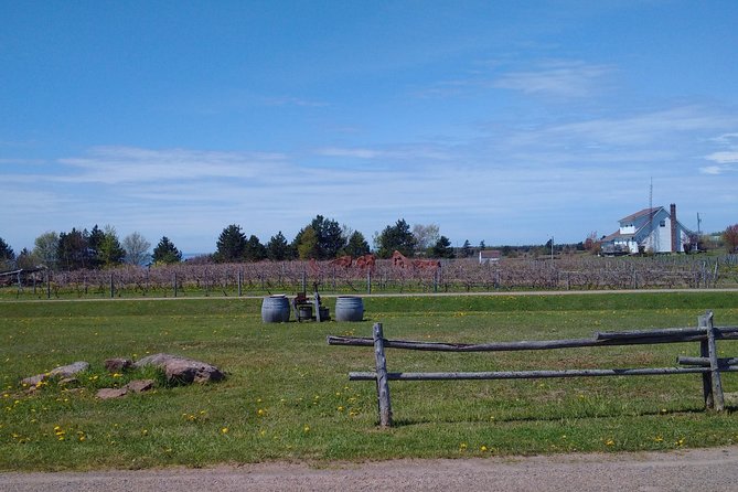 Central PEI Winery, Brewery, and Distillery Tasting Tour DE’ Force