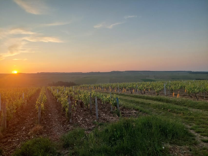 CHABLIS PRIVATE HALF DAY WINE TOUR - Tour Overview