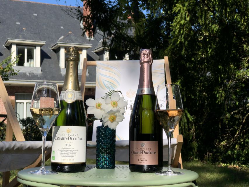 Champagne: Organic Champagne Tasting - Activity Overview