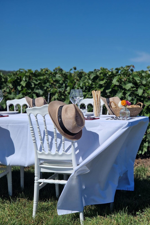 20 Best Wine Tours In Epernay