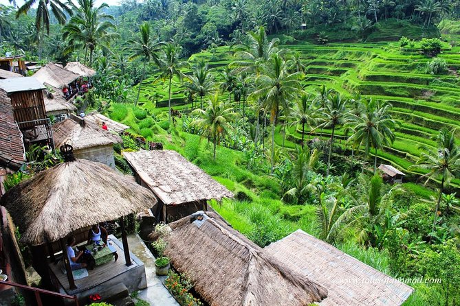 Charter Standard Vehicle With Driver at Bali- 5 Hours Usage - Overview of Charter Service