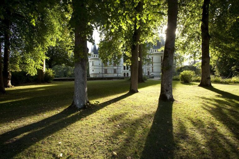 Château of Azay-Le-Rideau Entrance Ticket